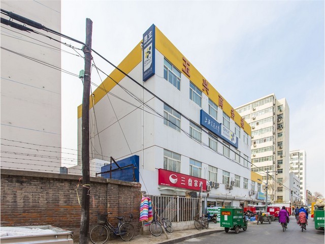 师宗常规食用菌销售价格